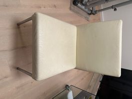 Walter Knoll Stühle Leder