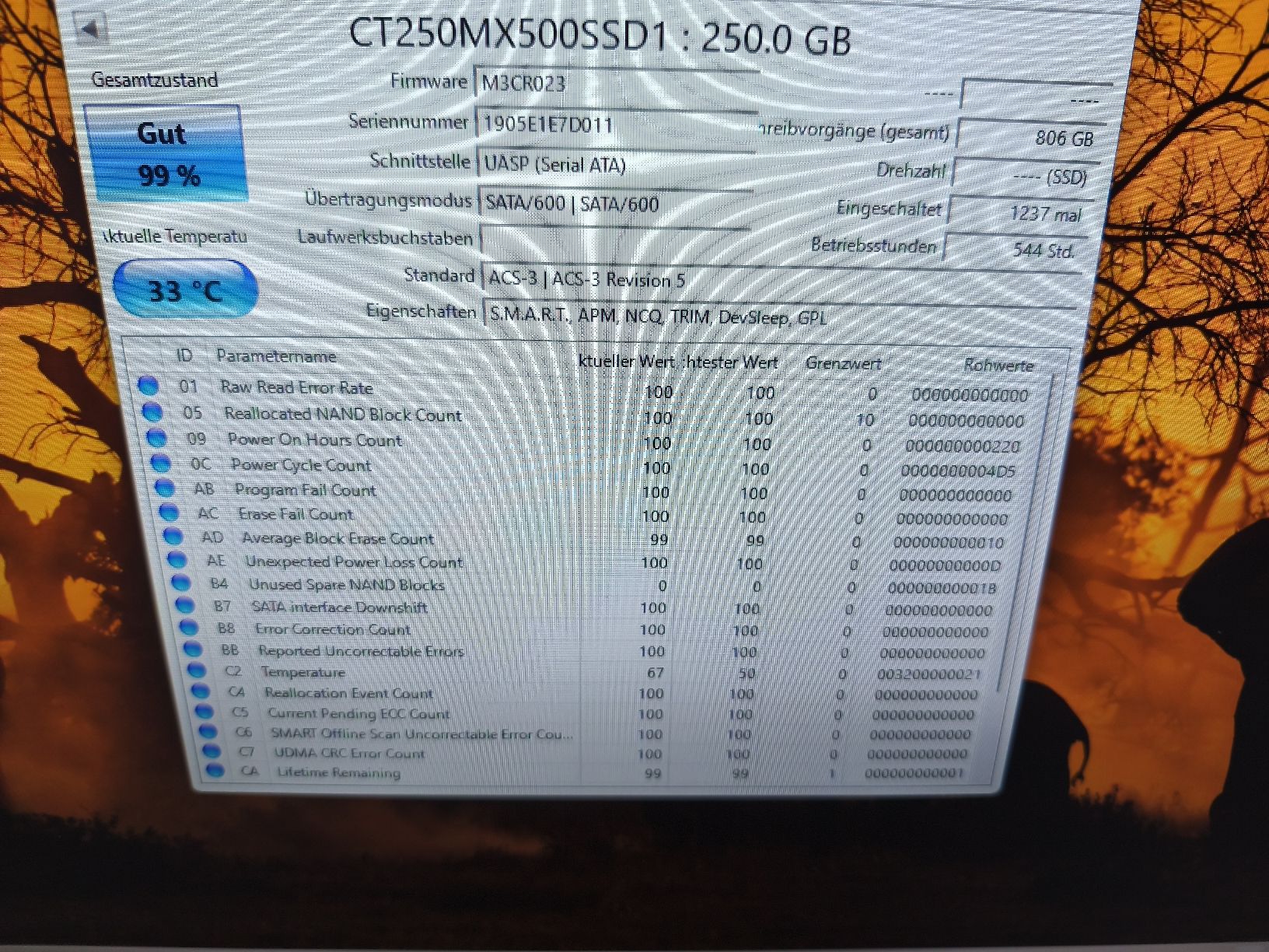 Crucial Harddisks: 2 Festplatten 250 Gb – Gebraucht aus Burgdorf von weggu.666 1