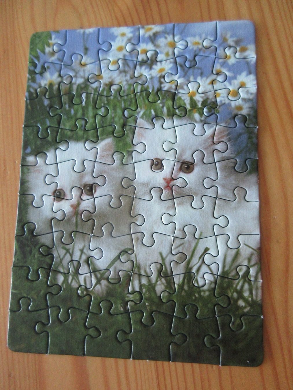 Puzzle: Mini Puzzle Cats – Usato da Kaisten venduto da renault015 1
