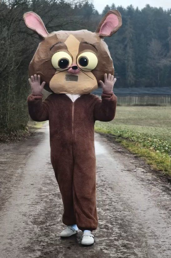 Costumi: Mort aus Madagascar Fasnachtskostüm – Usato da Gerlafingen venduto da Remo96