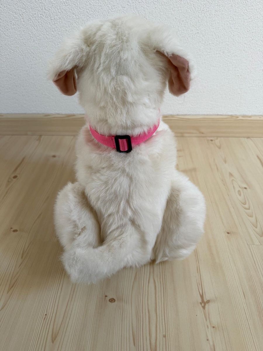 Hasbro Giocattoli: Furreal Hund Cookie von Hasbro – Usato da Beinwil (Freiamt) venduto da Zpower 1