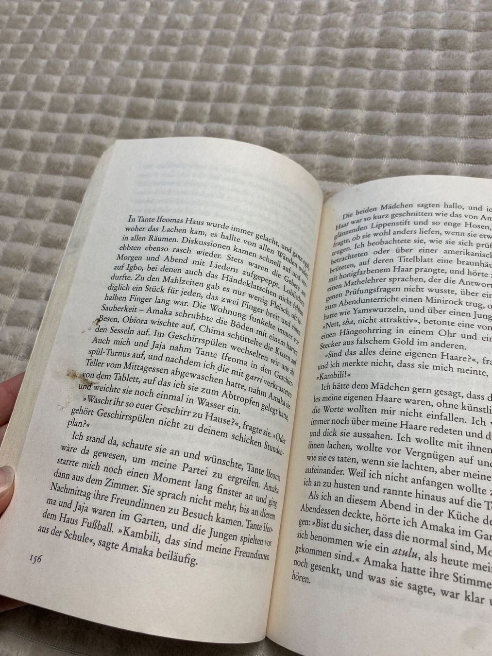 Libri: Blauer Hibiskus - Chimamanda Ngozi ADICHIE – Usato da Thundorf venduto da eli_ws8z 1