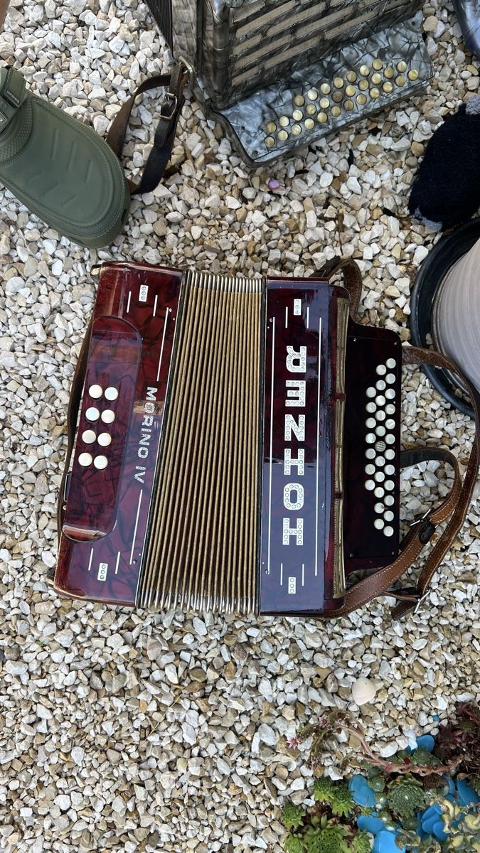 Hohner Instruments de musique: Hohner Diatonisch – D'occasion à Rothrist par Tessin1973 4