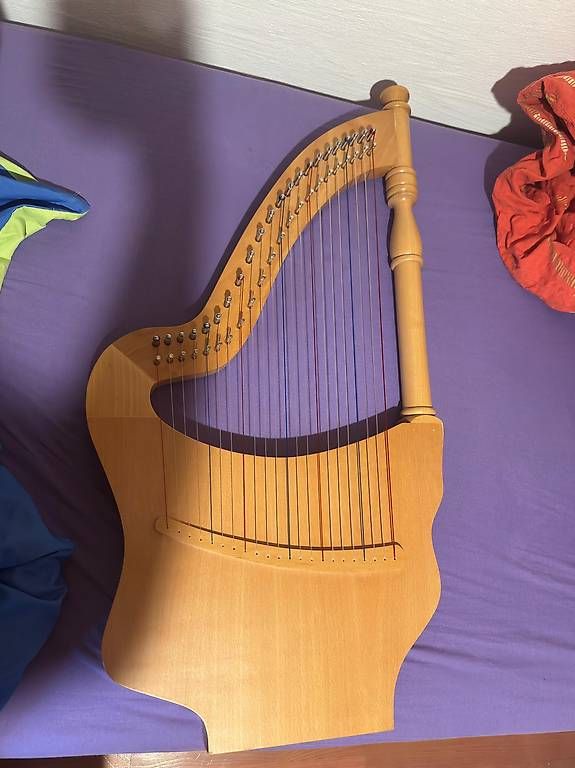 Musikinstrumente: Vendo arpa – Gebraucht aus Verscio von fra_7c2q