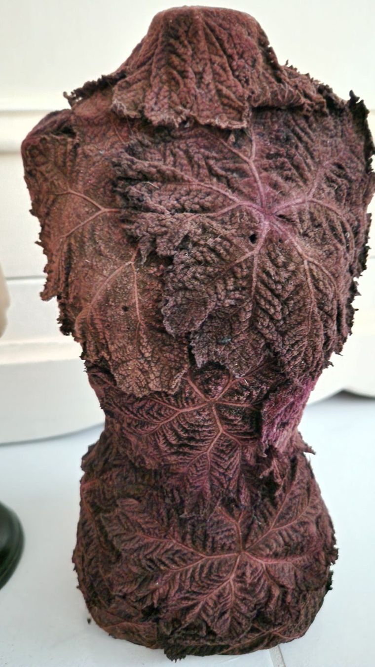 Ladenausstattungen & Messebau: Schneiderbüste Deko Torso – Gebraucht aus Rütihof von Teddy1985 2