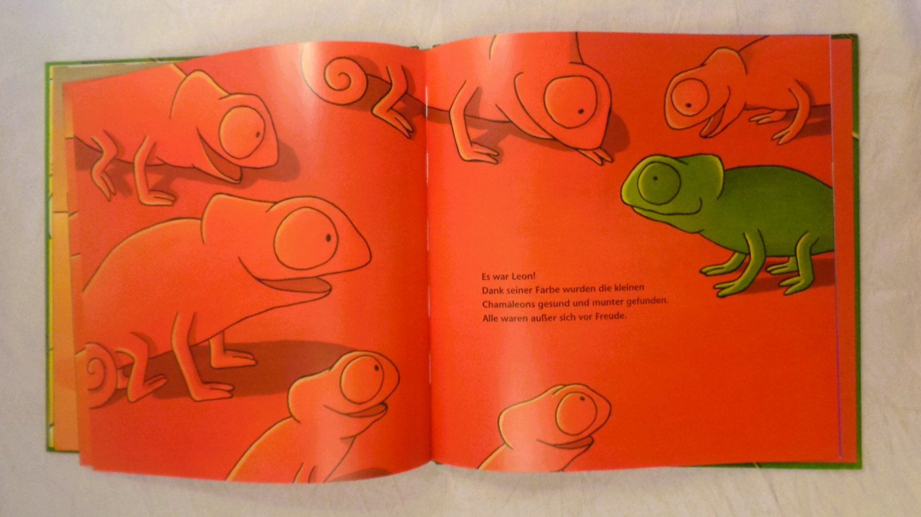Bücher: Chamäleon Leon ist anders / Bilderbuch Mélanie Watt – Gebraucht aus Bellach von JingleJerry 5