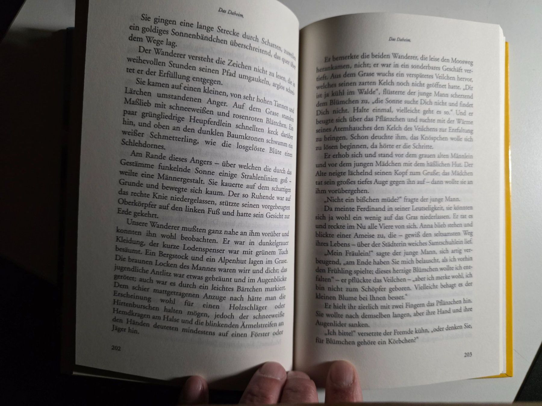 Libri: Heidepeters's Gabriel - Peter Rosegger - 2003 – Nuovo (secondo la descrizione) da Walterswil BE venduto da Lonitti 6