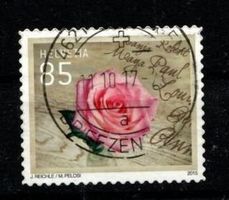 2015 - Spezielle Anlässe / Rose
