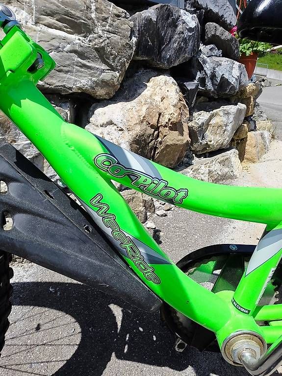 Rimorchi: Weeride Veloanhänger – Usato da Alpthal venduto da yul_c7zt 1