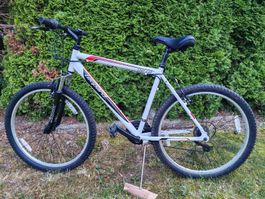 Leopard Star Cat Fahrrad Mountainbike weiss mit Federung
