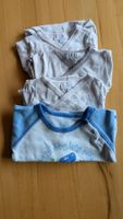 3 Wickelbodys (Jacadi Paris), 1 Pulli (Fixoni), Grösse 50