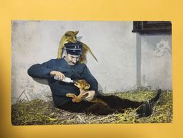 Basel Zoo Wärter Junge Löwen antike AK 1909