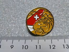 PIN PINS POLIZEI POLICE POLIZIA STAPO KAPO Kanton Stadt