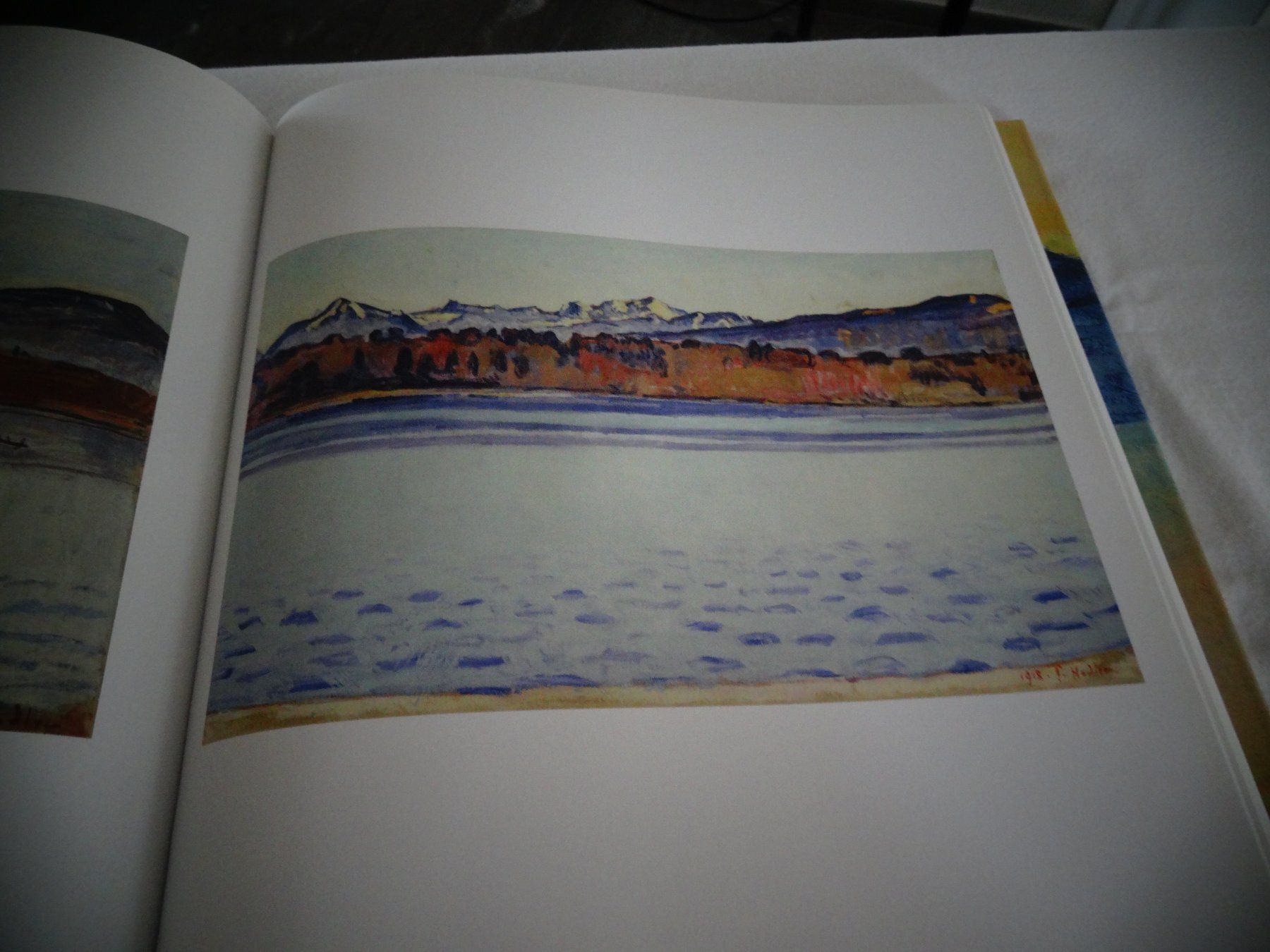 Libri: Ferdinand Hodler – Usato da Neerach venduto da jenny062 7