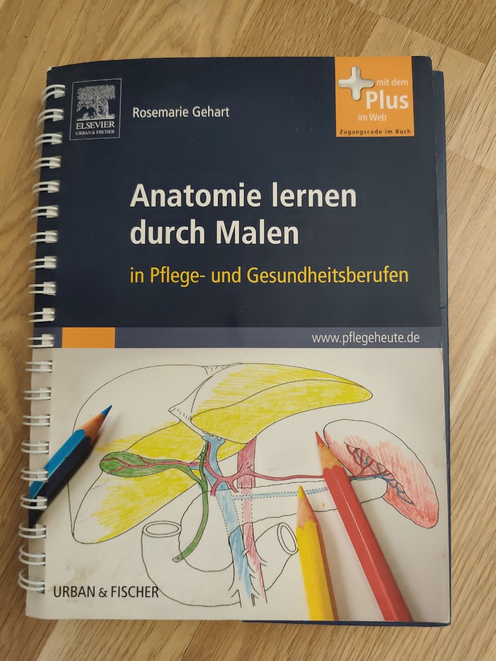 Libri: Anatomie zum Malen vom Elsevier Verlag  – Usato da Adliswil venduto da Rlila