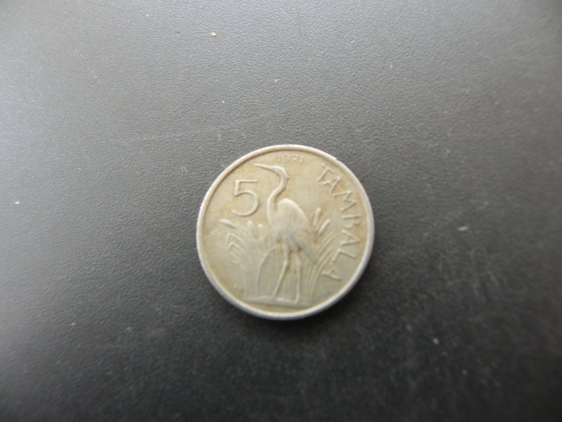 Tutti le monete: Malawi 5 Tambala 1971 – Usato da Biel/Bienne venduto da Gogolozi