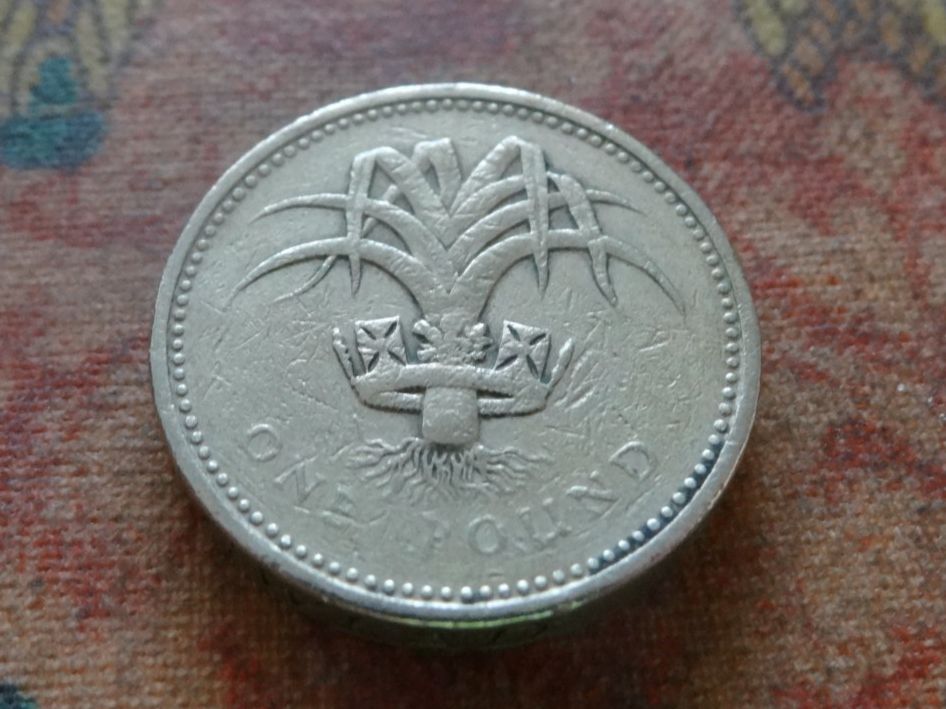 Alle Münzen: ROYAUME-UNI  1 Pound  1985 – Gebraucht aus Romanel-sur-Lausanne von Swift13 1