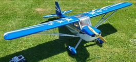 Avion Seagull Model Décathlon