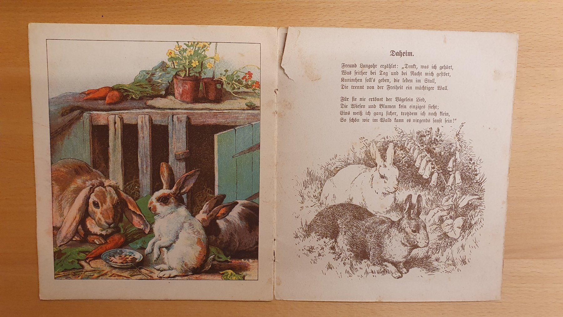Libri: Freund Langohr - Verse von Else Dorn – Usato da Dietlikon venduto da Justus4 2