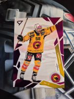 Romain Loeffel SC Bern 2025/26 Sportzoo Pink