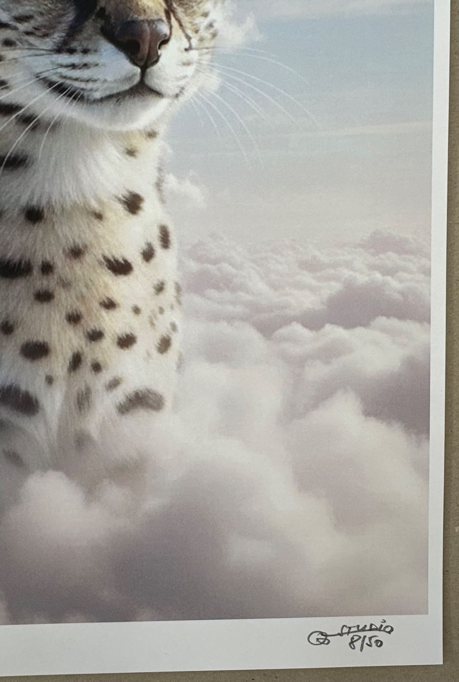 Foto & Immagini: Bubble Studio: Himmel-Katze, signiert 8/50 – Nuovo (secondo la descrizione) da Meilen venduto da Smgdesign 1