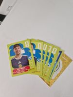 Panini SCO / Schottland