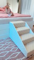 Boxspringbett Hunde und Katzentreppe