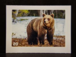 MIGROS MANIA Nature Detectives Nr. 20