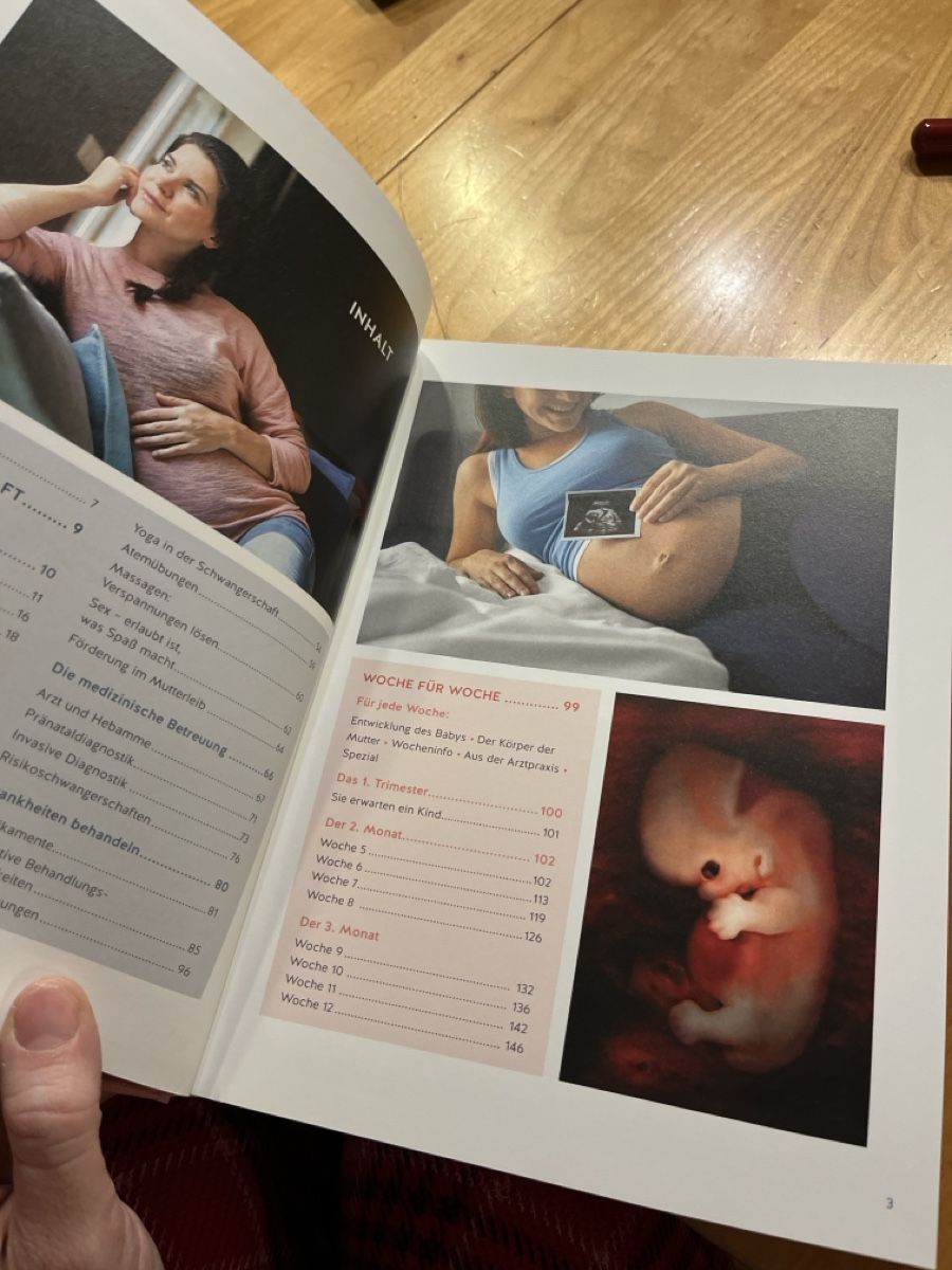 Libri: Das große Buch zur Schwangerschaft – Usato da Rodersdorf venduto da estherdaphne 2