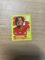 Panini FIFA WC SUI 15