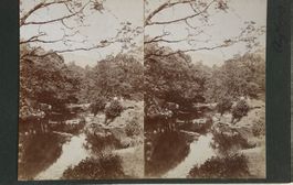 Uralte private Stereofoto, um 1900