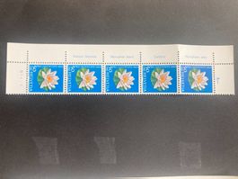 Schweiz 1964 Pro Juventute 50 Seerose 5er-Steifen alle TABS