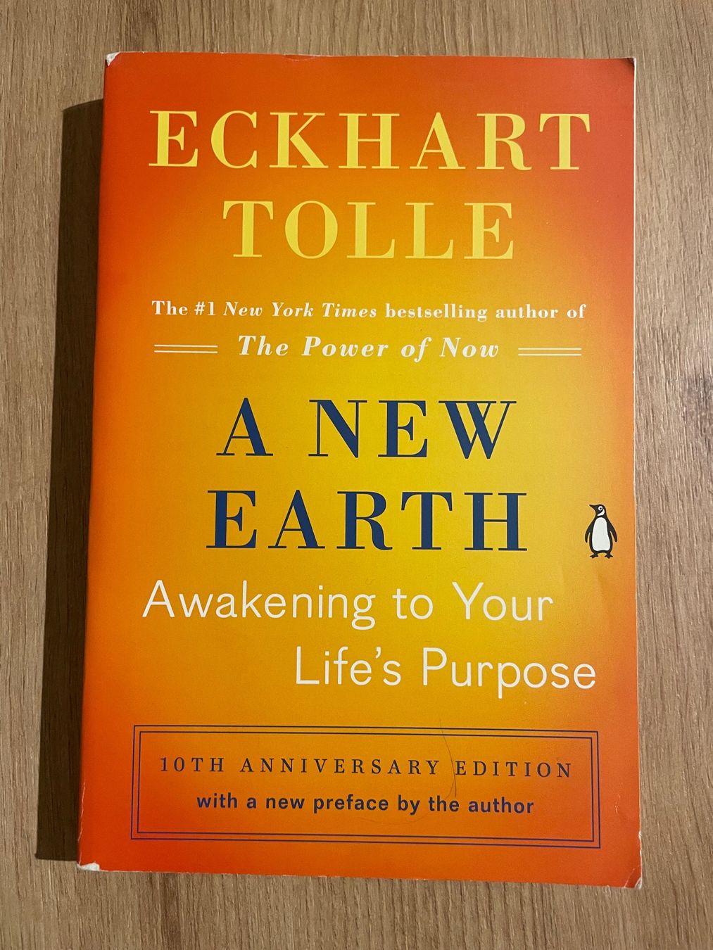 Libri: A New Earth – Usato da Zürich venduto da Angelina.8032