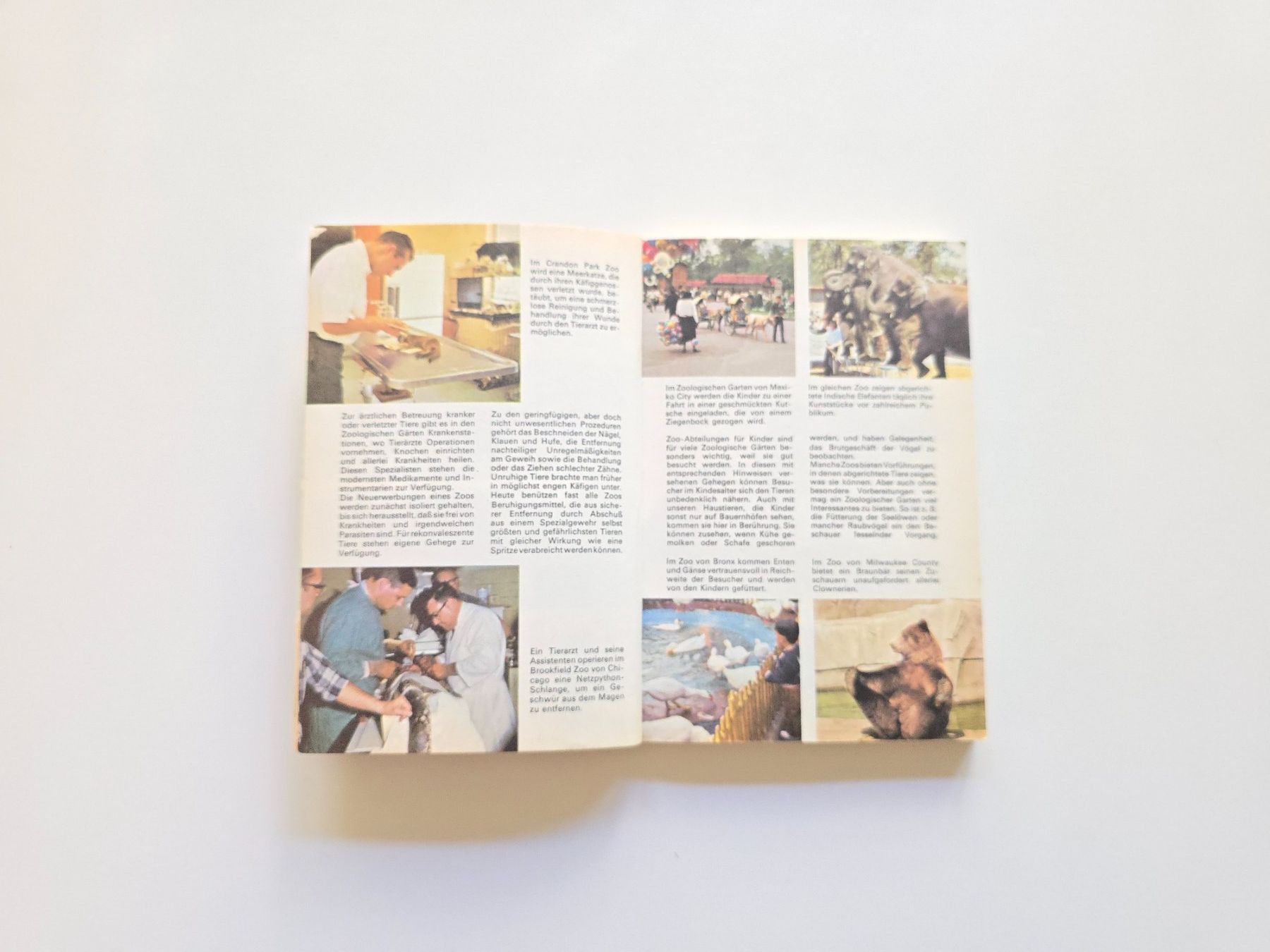 Bücher: Altes Büechli Zootiere 1970 – Gebraucht aus Dättlikon von Wundertuete_ 4