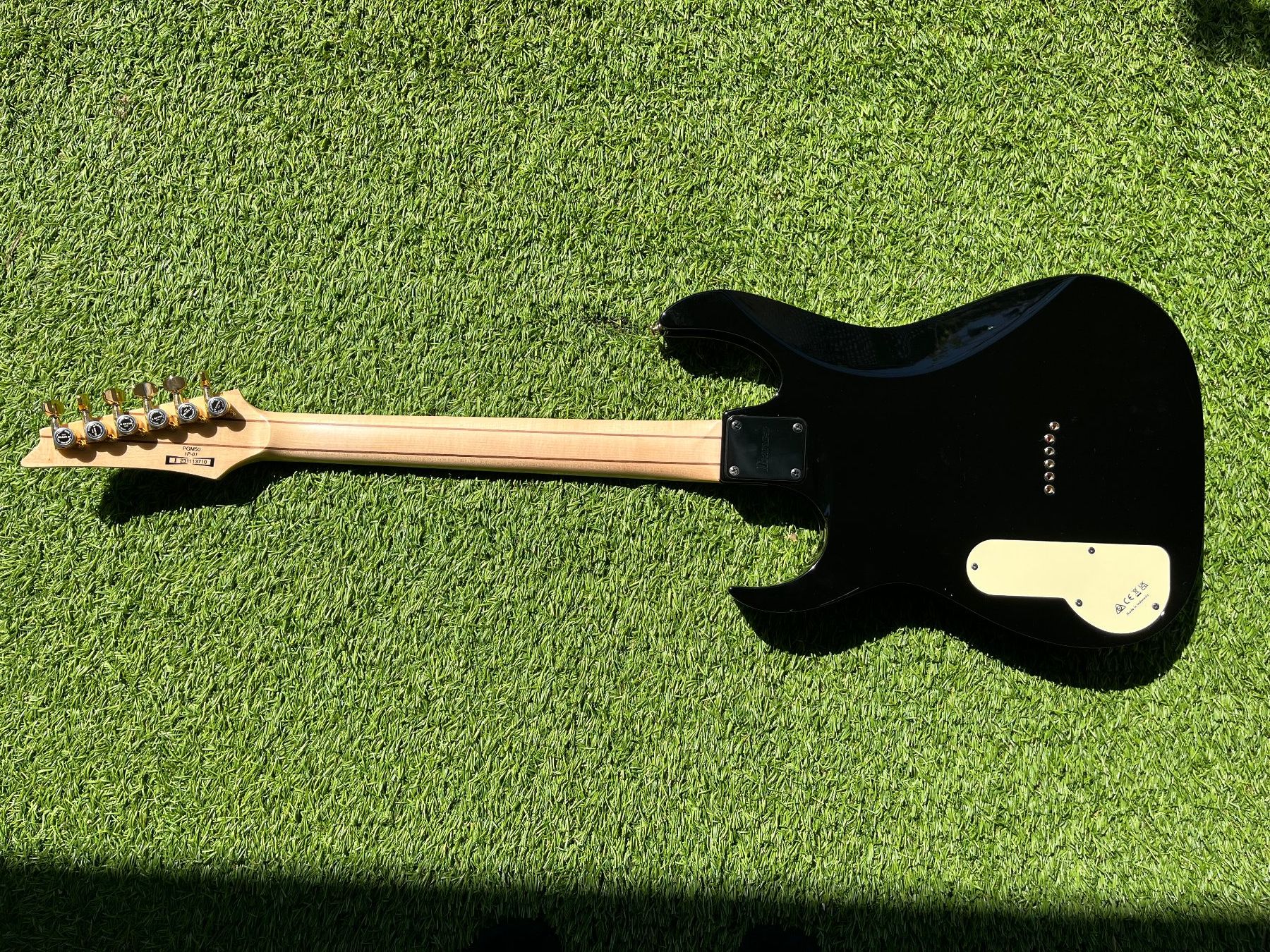 Ibanez Strumenti musicali: Ibanez PGM50 – Usato da Windisch venduto da Daredevil7 2