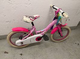 Kinde Velo 
