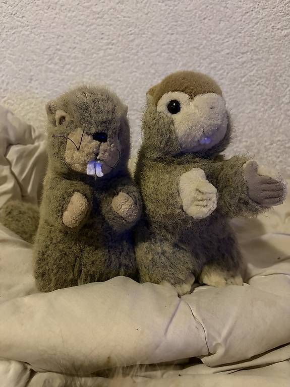 Spielzeuge: Plüsch Munggen Duo  – Gebraucht aus Brienz BE von sna_d9ls