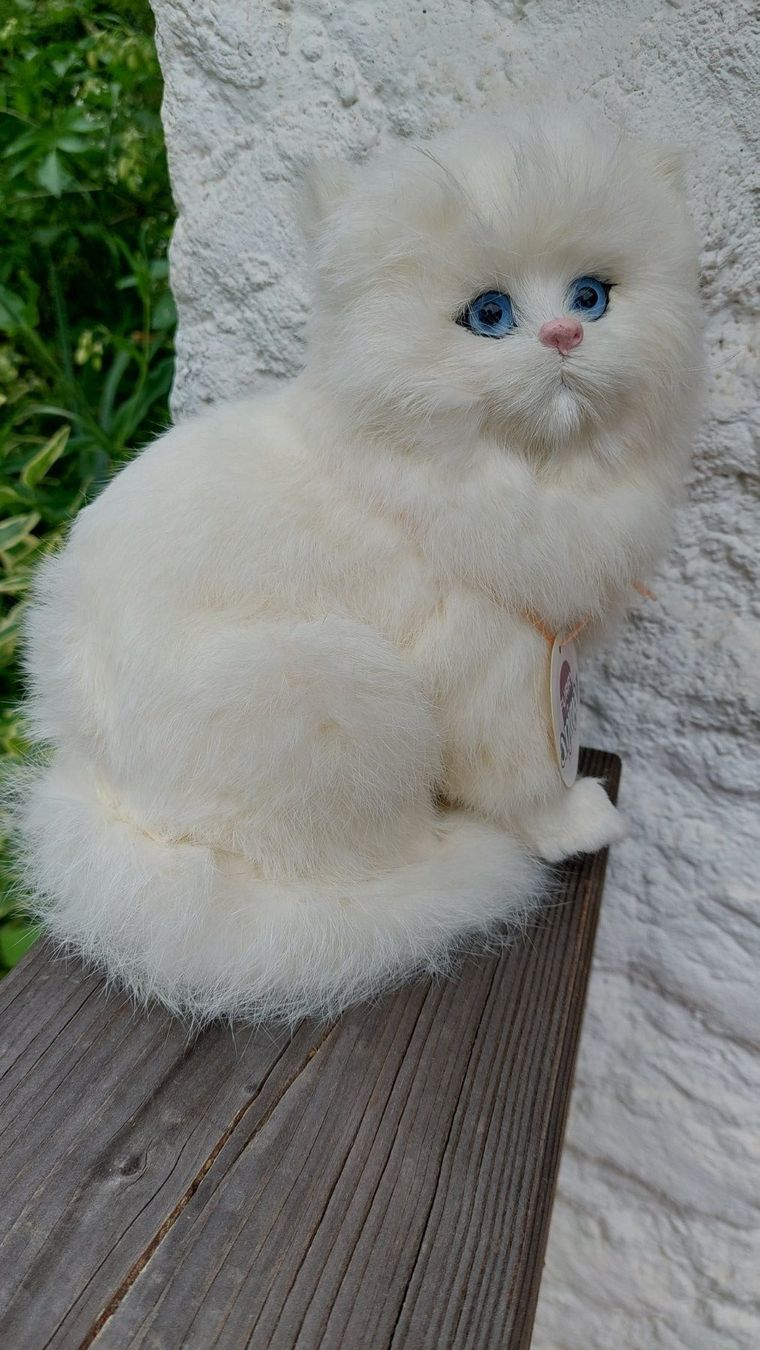 Tops: Peluche chat blanc – Neu und originalverpackt aus Marsens von fakia 1