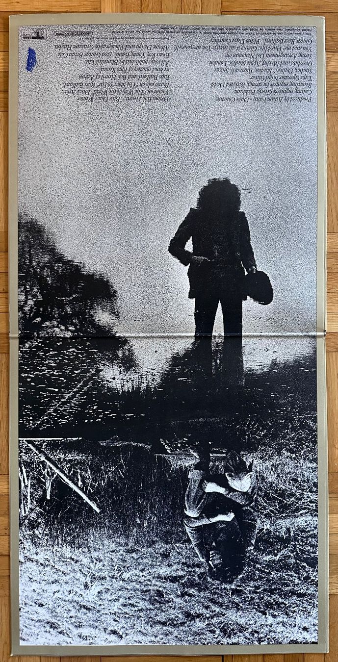 Dischi in vinile: LP - Roger Daltrey - Daltrey – Usato da Breganzona venduto da Onairda75 2