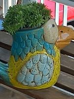 Papagie Vase od.Pflanzentöpfli /neu