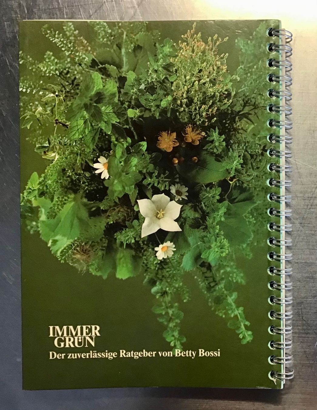 Libri: Betty Bossi: IMMER GRÜN 2 – Usato da Bubendorf venduto da Alpenheidi 1
