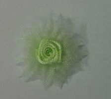 FLEUR organza + rose satin 2.5 cm VERT