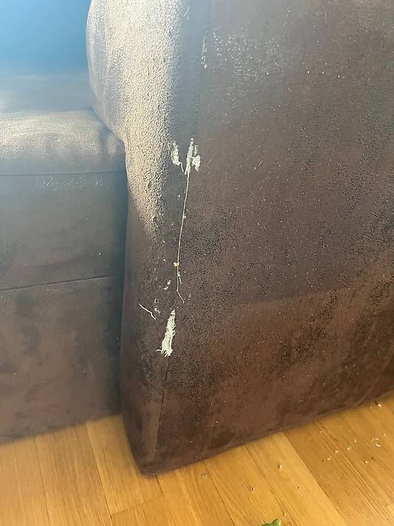 Sofas: Sofa / Eckcouch  Gratis abzugeben – Gebraucht aus Basel von mar_k5fw 4