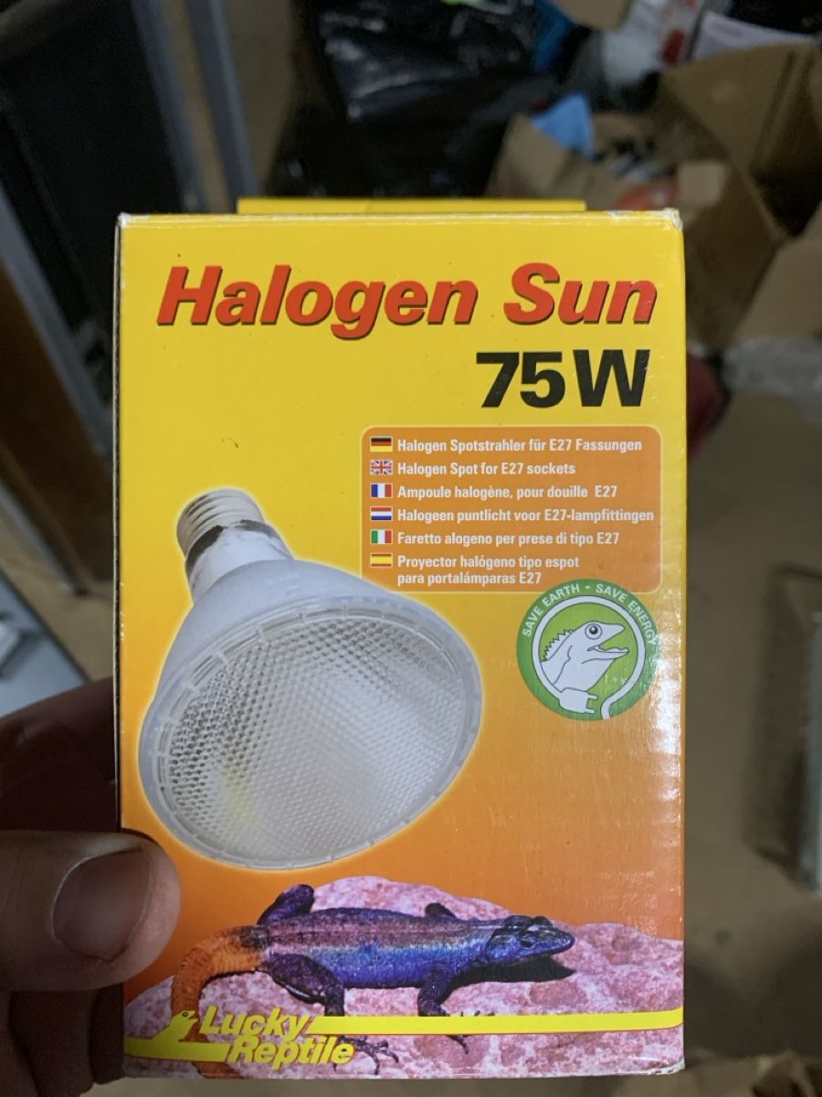 Lampes: Terrarium Lampe Neu – Neuf avec emballage d'origine à Opfikon par Safside