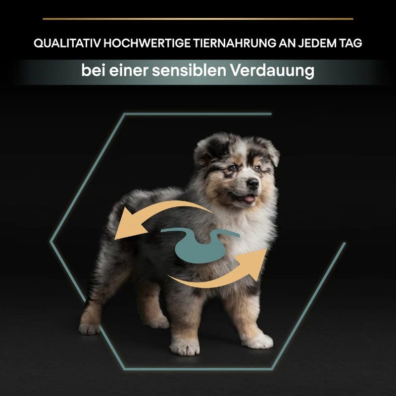 Mangimi: PRO PLAN Puppy Medium Sensitive Digestion 12 KG, ungeöffnet – Nuovo e nell'imballaggio originale da Oberengstringen venduto da Palibal 2