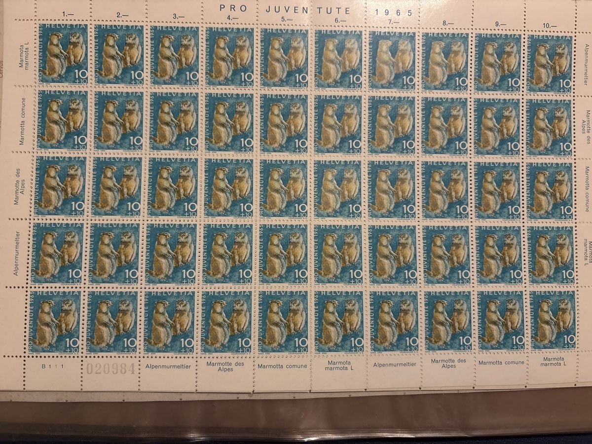 Tutti i francobolli: Briefmarken Pro Juventute 1965, Murmeltier – Usato da Geroldswil venduto da Fiury