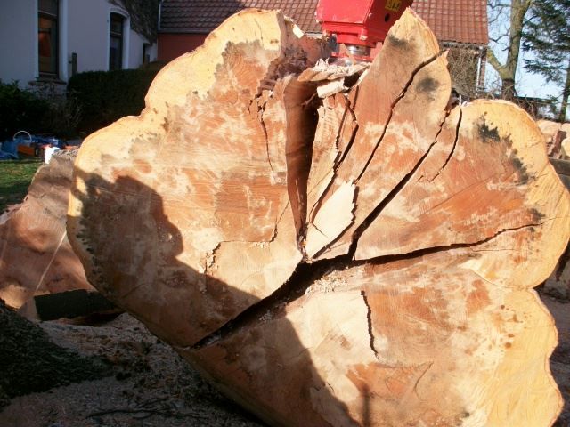 Spaccatrici & Accessori: Kegelspalter Holzspalter Bagger 500 ccm – Nuovo e nell'imballaggio originale da Les Ponts-de-Martel venduto da SpalterRobert 3