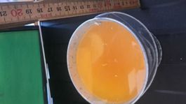 Citronella Eimer Brenndauer 22Std