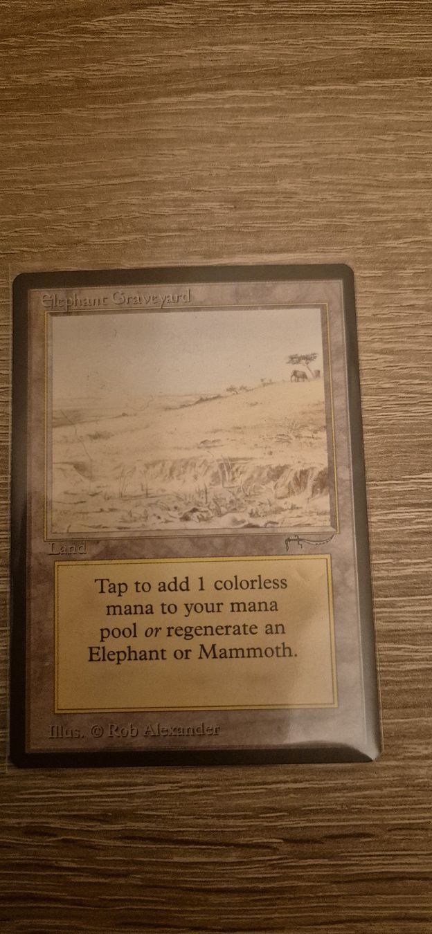 Magic The Gathering Sammelbilder & Trading cards: Carte Magic The Gathering - Allosaurus Graveyard – Neu (gemäss Beschreibung) aus Genève von Bayoushi 1