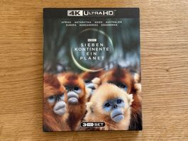 Sieben Kontinente - Ein Planet 4K Bluray